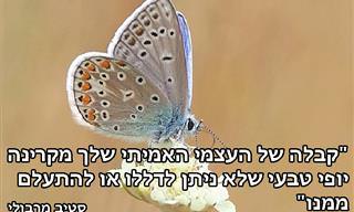 16 ציטוטים לחיזוק הביטחון העצמי שלכם