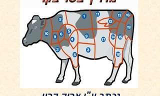 הכל על בשר!