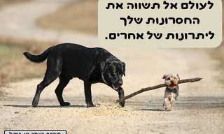 משפטים שיעשו לך את היום ויתנו לך השראה