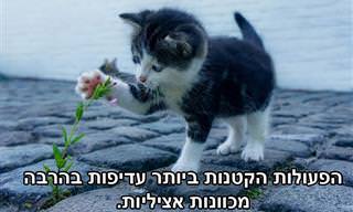 16 ציטוטים מיוחדים מפי רובין שארמה