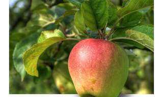 שנה חדשה וחידושים והתחדשות ומה לא...