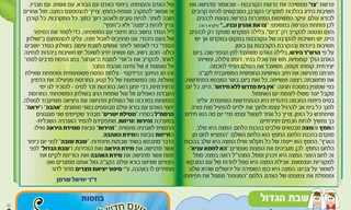 פרשת השבוע - צו