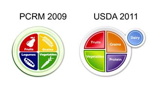 מומחה מסביר: תזונה נכונה להגנה ולחיזוק המוח