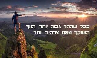 אוסף של 10 כתבות בנושא מוטיבציה והנעה פנימית