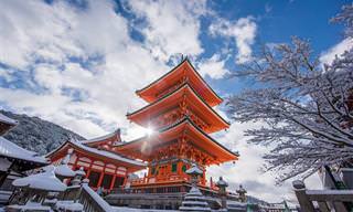 20 תמונות נפלאות שמציגות את היופי של יפן
