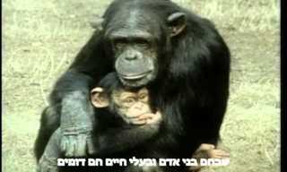 לחלוק את העולם עם בעלי החיים