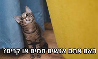 מבחן האישיות שיגלה לכך האם אתה אדם חם או קר
