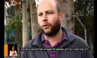 האם פירות יבשים מסוכנים לבריאות?