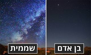13 תמונות שממחישות איך חיות רואות את העולם