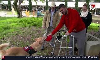 הכלבים המדהימים שעוזרים לנפגעי המלחמה