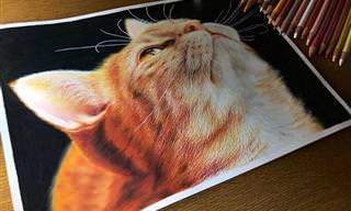 14 ציורים מדהימים של משפחת החתולים שנראים כמו תצלומים של ממש