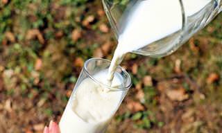 6 מוצרי חלב שגם הרגישים ללקטוז יכולים לצרוך