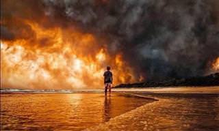 17 תמונות שממחישות את עוצמת השריפות באוסטרליה