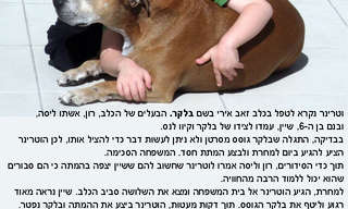 סיפור מרגש ומעורר מחשבה על ילד וכלב