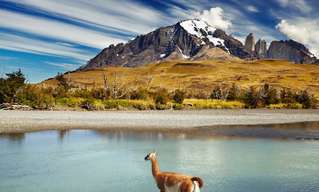 עונות השנה בשמורת טורס דל פיינה בצ'ילה