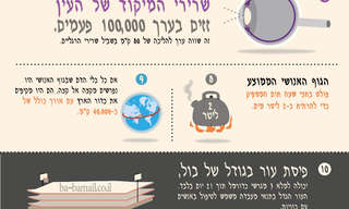 עובדות מעניינות על גוף האדם