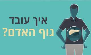 12 סרטונים קצרים שמסבירים איך גוף האדם עובד