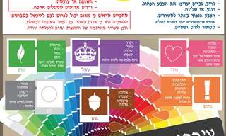 הפסיכולוגיה של הצבעים