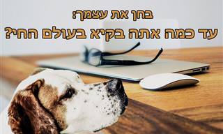בחן את עצמך: עד כמה אתה בקיא בעולם החי?