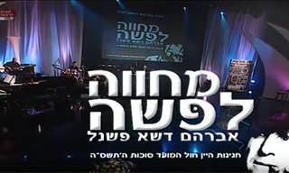 מופע המחווה הגדול למפיק, אמרגן ומגלה הכישרונות אברהם דשא פשנל