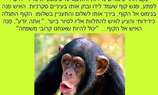 מוצא הקוף - סיפור עם מוסר השכל על בני האדם
