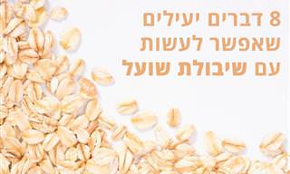 8 שימושים מפתיעים לשיבולת שועל שכדאי להכיר ולנצל