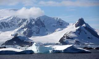 מסעו של מאיר אלפסי לאנטארקטיקה
