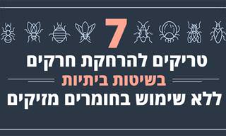 7 טריקים להרחקת חרקים בשיטות ביתיות