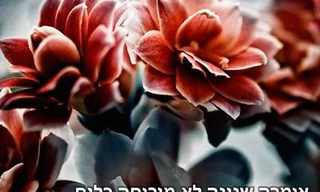 בראי הפילוסופיה: ציטוטים נבחרים של וולטייר