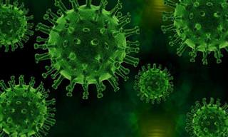קורונה או שפעת: ההבדלים בין המחלות