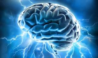 19 עובדות מעניינות על המוח האנושי