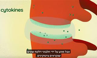 הסרטון הזה יסביר לך את הדברים שהכי חשוב לדעת על דלקות מפרקים