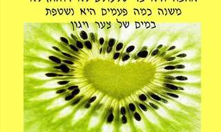 משפטים יפים על אהבה