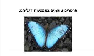 עובדות בתמונות - מעניין!