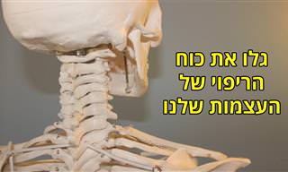 סרטון הסבר: כך העצמות שלנו מייצרות דם