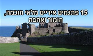 15 פתגמים איריים חכמים ומלאי הומור ואהבה