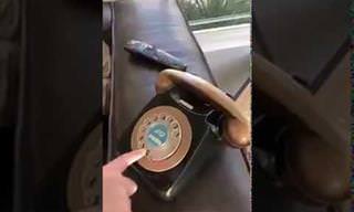 זה מה שקורה כשילדים מנסים להשתמש בטלפון חוגה ישן...