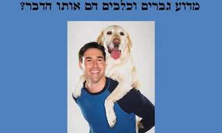 הדמיון בין כלבים לגברים