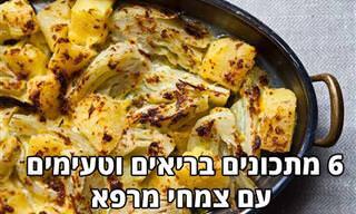 6 מתכונים שונים שאפשר להכין עם צמחי מרפא