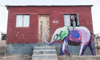 15 ציורי גרפיטי של פאלקו אחד שמשתלבים עם רחובות דרום אפריקה