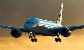 787-8 BBJ - מטוס הנוסעים הענק שהוסב לסוויטה מעופפת