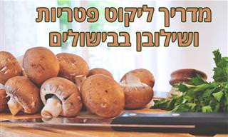 מדריך לליקוט פטריות ו-10 זני מאכל שאפשר למצוא בישראל