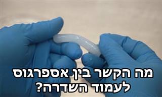 הסבר מרתק על פיתוח מהפכני לתיקון עמוד השדרה עם אספרגוס