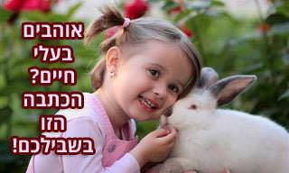 7 מבחני אישיות וטריוויה על בעלי חיים