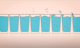 המיתוס שכולם מאמינים בו: 8 כוסות מים ביום - האם הוא נכון?