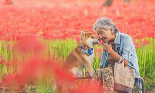 14 תמונות המתעדות קשר חם ואוהב בין סבתא יפנית לכלבה