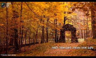 גלויות מכל הלב: משפטים יפים שיעשו לכם טוב