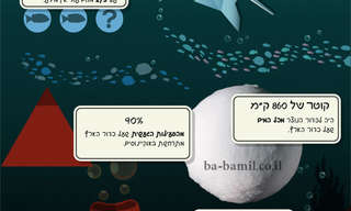 50 עובדות מעניינות על כדור הארץ