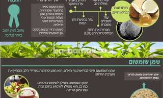 היתרונות הבריאותיים של השמנים הצמחיים!
