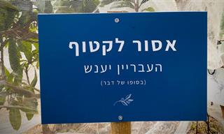 14 שלטים מצחיקים שצולמו בארץ